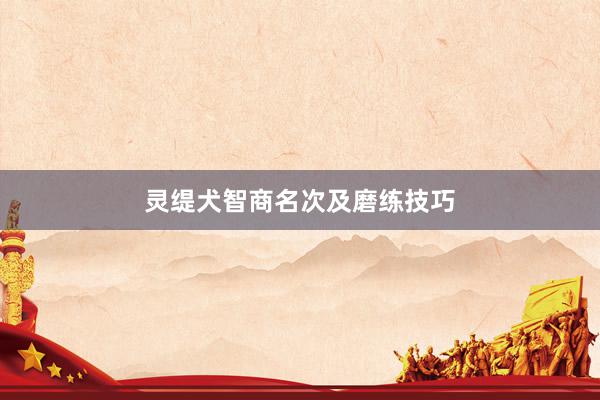 灵缇犬智商名次及磨练技巧