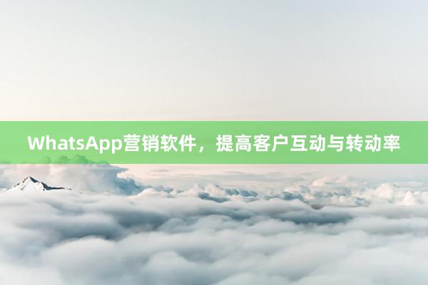 WhatsApp营销软件，提高客户互动与转动率